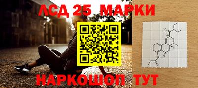 прущие грибы Абакан