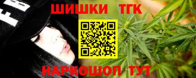 прущие грибы Абакан