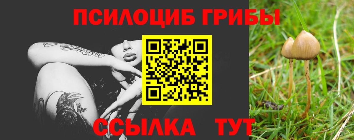 Галлюциногенные грибы Cubensis Алексин